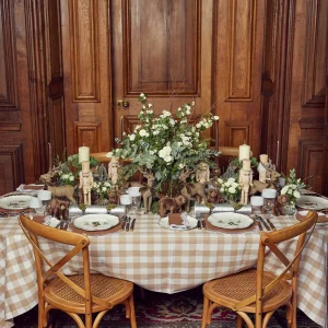 Store Alathea Caramel Linen Placemats (Set Of 4) Placemats