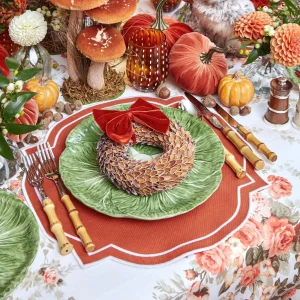 Discount Burnt Orange Placemats (Set Of 4) Placemats