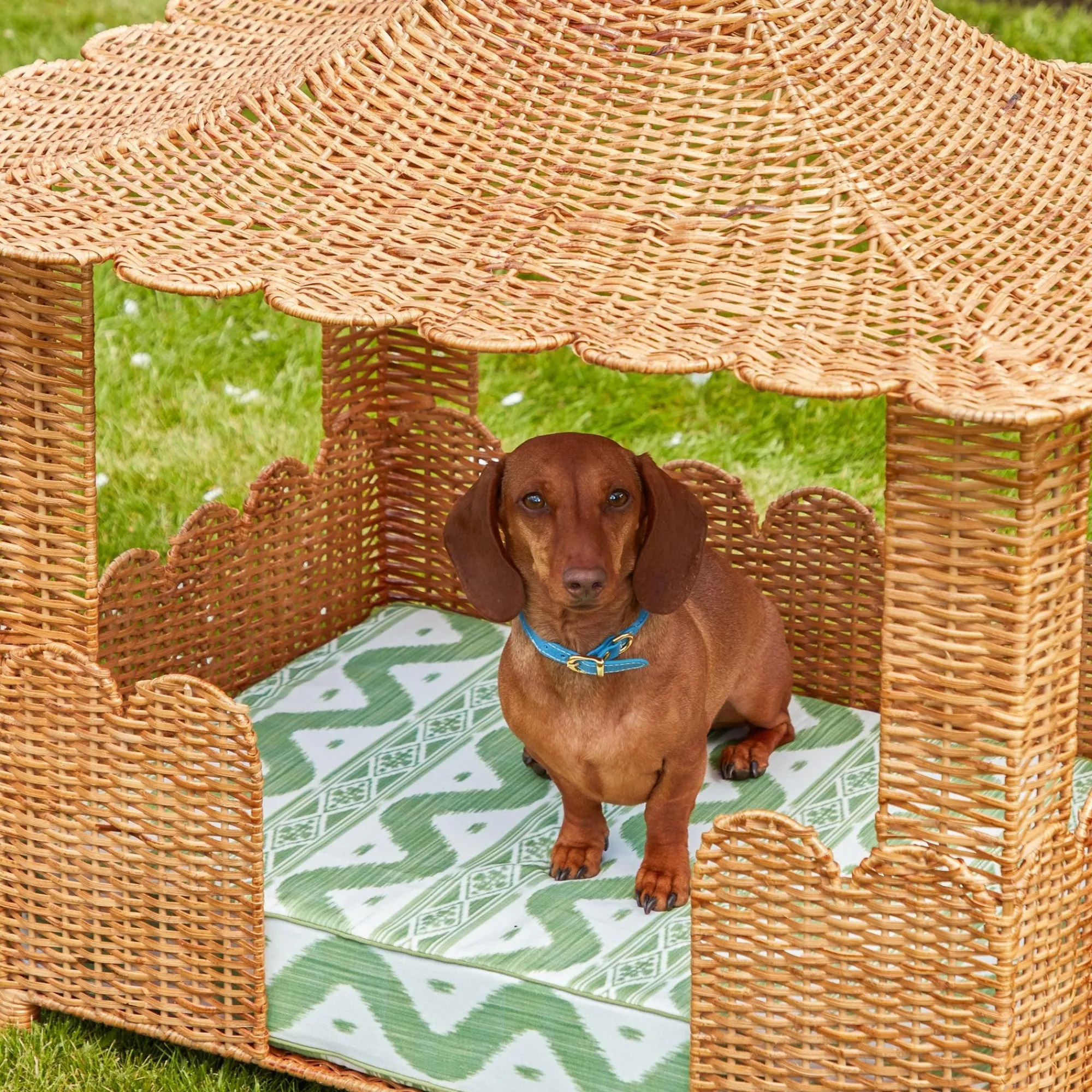 dorothy_pagoda_dog_bed_1.webp New Dorothy Pagoda Dog Bed Rattan Furniture