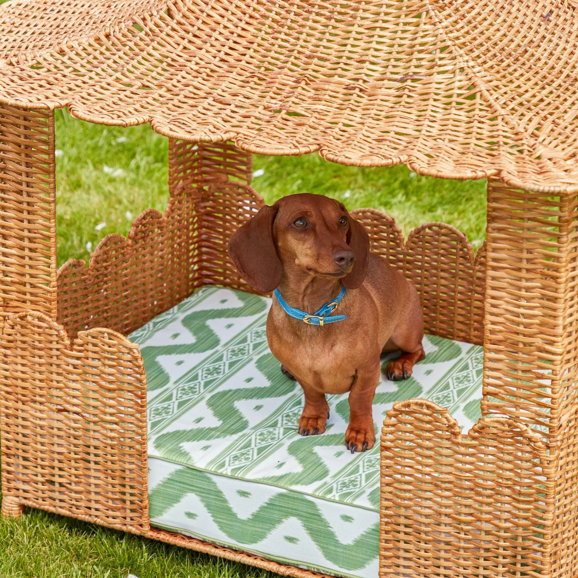 dorothy_pagoda_dog_bed_5.webp New Dorothy Pagoda Dog Bed Rattan Furniture