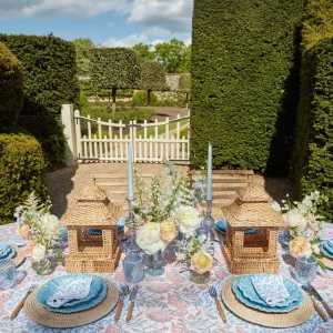 Hot Edie Blue Coral Placemats (Set Of 4) Placemats