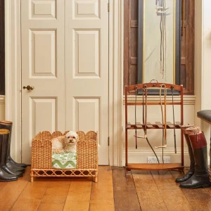 Best Ethel Dog Bed Rattan Furniture