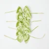 Clearance Green Saddle Stitch Napkin Bows (Set Of 4) Napkin Rings, Bows & Wreaths