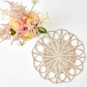 New Meredith Woven Placemats (Set Of 4) Placemats