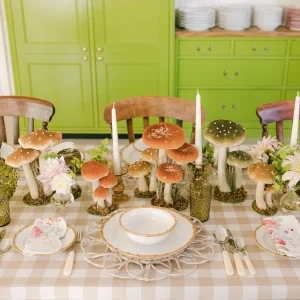 New Meredith Woven Placemats (Set Of 4) Placemats