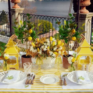 New Mimosa White Linen Placemats & Napkins (Set Of 4) Table Linen Sets