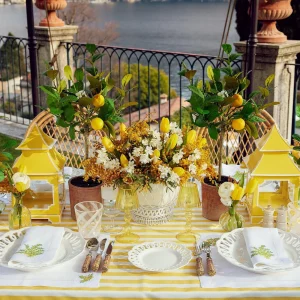 New Mimosa White Linen Placemats & Napkins (Set Of 4) Table Linen Sets