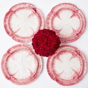 Hot Pink Capri Lettuce Dinner Plate Lettuce Crockery