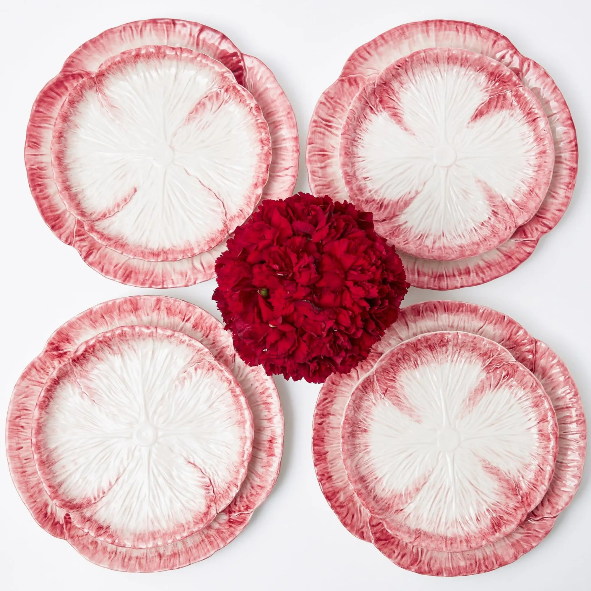 pink_capri_lettuce_dinner_7-4.webp Discount Pink Capri Lettuce Dinner Plate Dinner Plates