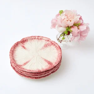 Fashion Pink Capri Lettuce Starter Plate (Set Of 4) Starter Plates