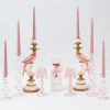 Best Pink Parrot Candlescape Candle Holders