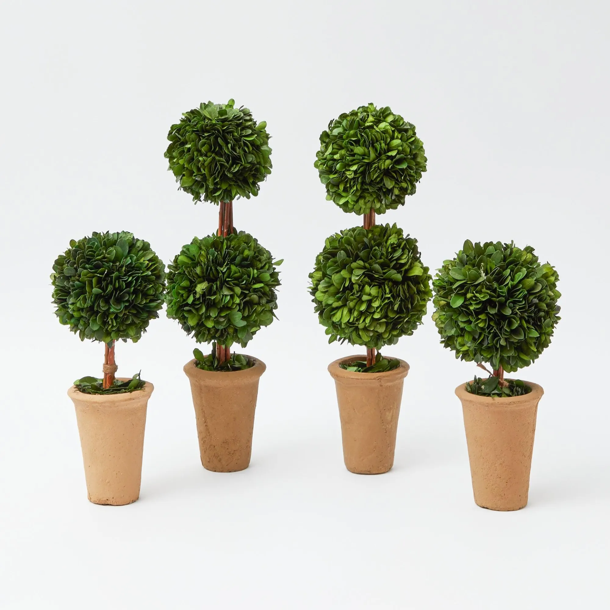 potted_boxwood_decoration_0.webp Online Potted Boxwood Decoration Set Decoration Sets