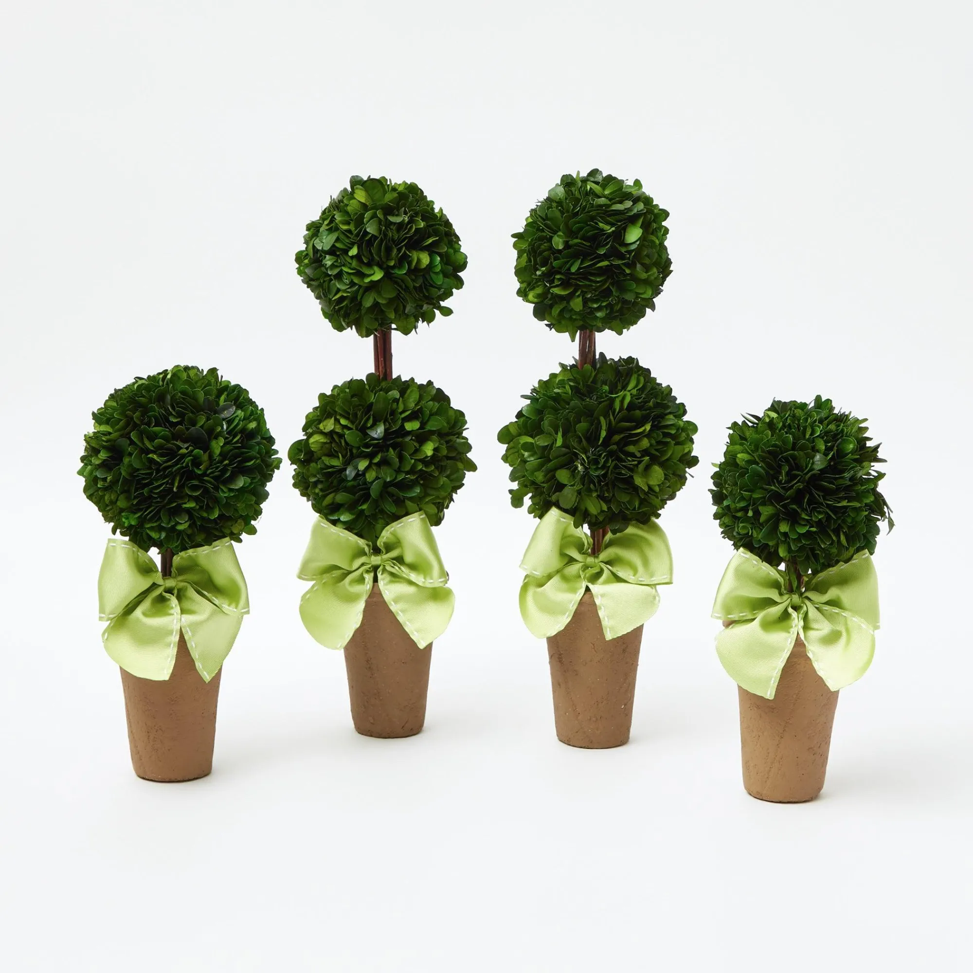 potted_boxwood_with_green_0.webp Fashion Potted Boxwood With Green Bow Decoration Set Decoration Sets