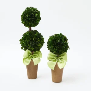Fashion Potted Boxwood With Green Bow Decoration Set Decoration Sets