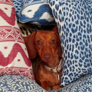 Cheap Raspberry Pink Ikat Stripe Fabric Serena Fresson Fabrics