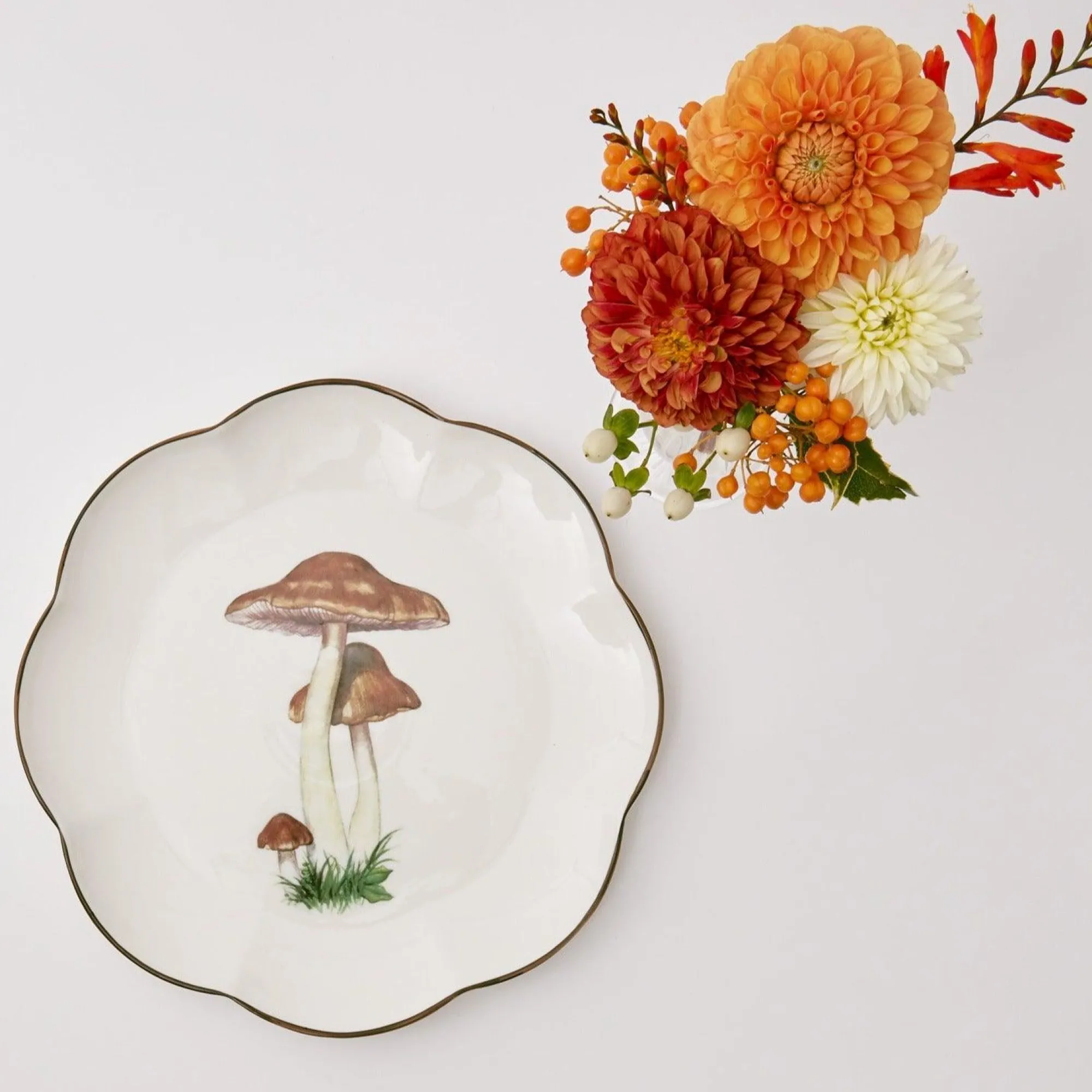 scalloped_mushroom_dinner_9.webp Shop Scalloped Mushroom Dinner Plate Dinner Plates