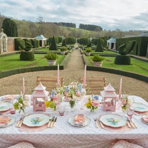 Store Tulip Dinner Plate Dinner Plates