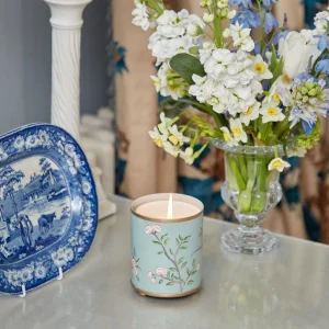 Sale Velvet Oak Scented Candle & Pot Set Candles