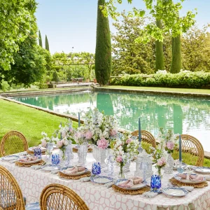 New Water Hyacinth Placemats (Set Of 4) Placemats